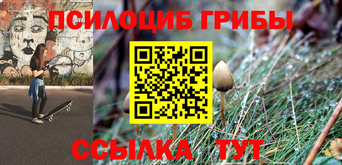 Фурманов  Галлюциногенные грибы GOLDEN TEACHER  Вход с VPN 