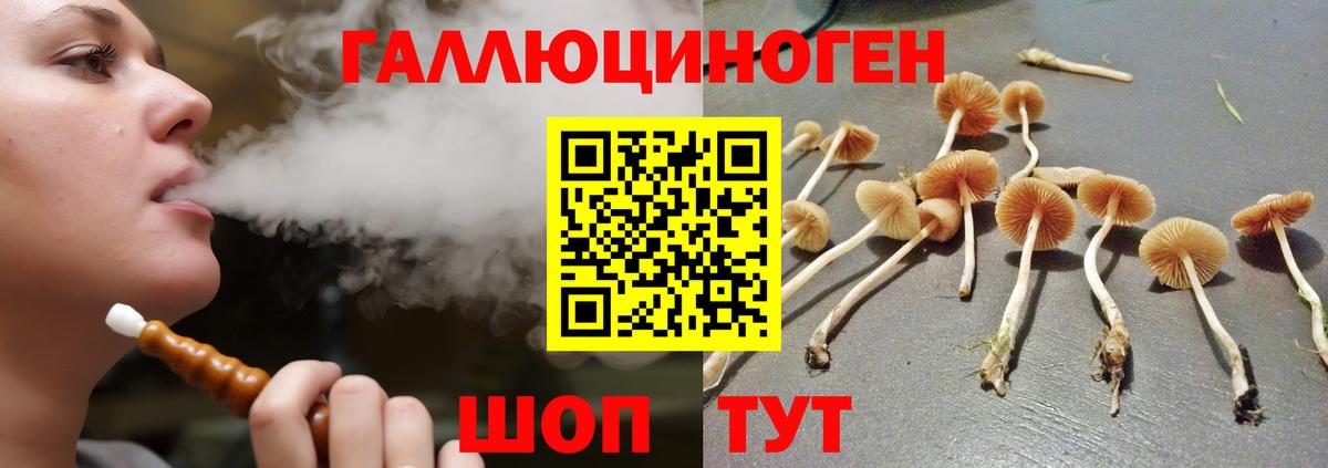 Галлюциногенные грибы Magic Shrooms Фурманов